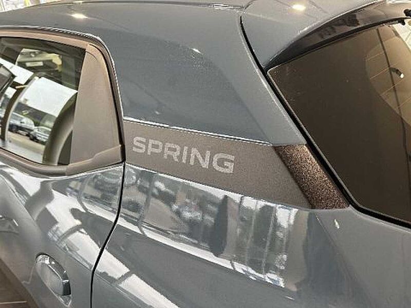 Dacia Spring Extreme ELECTRIC 65 ABS Fahrerairbag ESP Navi Klima Einparkhilfe el. Fenster